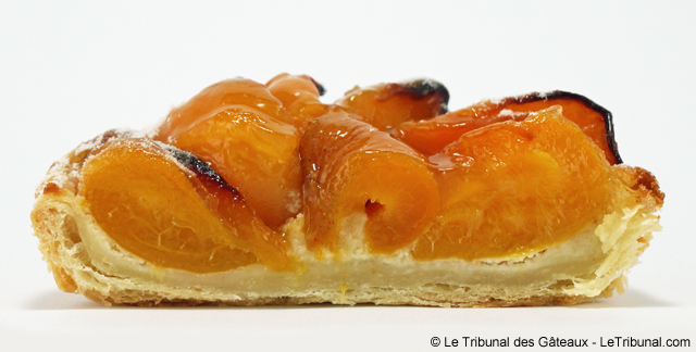 moulin-vierge-tarte-abricots-5-tdg