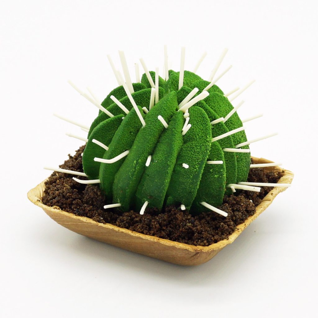 Cactus Wonderland Pâtisserie Rodolphe Groizard