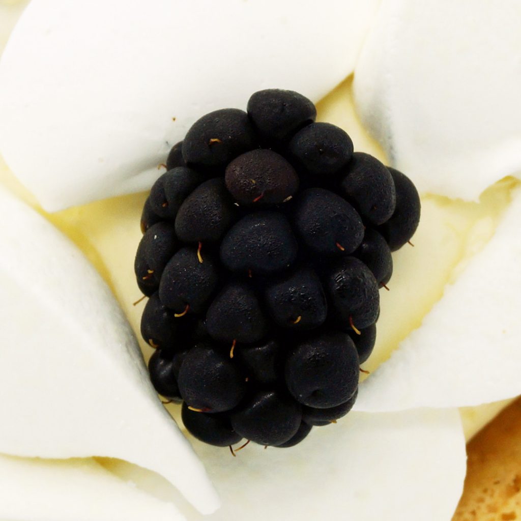 pavlova fruits noirs ladurée
