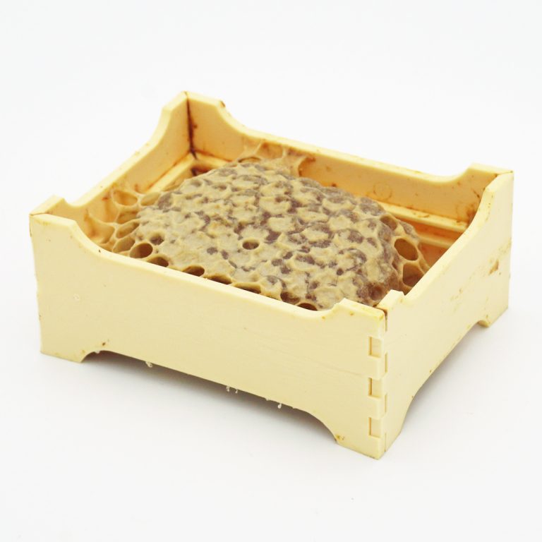 Miel de Montagne en Rayon par La Maison du Miel